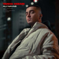 دانلود آهنگ علی نواب تنها میذاری دانلود آهنگ علی نواب تنها میذاری