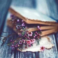 دانلود آهنگ سارا بلاسکو All I Want دانلود آهنگ سارا بلاسکو All I Want