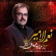 دانلود مداحی نعم الامیر محمد عاملی دانلود مداحی نعم الامیر محمد عاملی