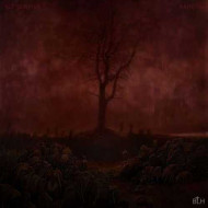 دانلود ریمیکس بی ال اچ داراب دانلود ریمیکس بی ال اچ داراب