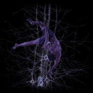 دانلود آهنگ لنا کنسل دانلود آهنگ لنا کنسل