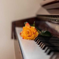 دانلود آهنگ سوگند و ارهان مرا ببوس دانلود آهنگ سوگند و ارهان مرا ببوس