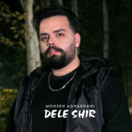 دانلود آهنگ محسن آقاخانی دل شیر دانلود آهنگ محسن آقاخانی دل شیر