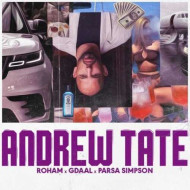 دانلود آهنگ جیدال و رهام ای بی و پارسا سیمپسون Andrew Tate دانلود آهنگ جیدال و رهام ای بی و پارسا سیمپسون Andrew Tate
