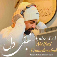 دانلود آهنگ ابوالفضل اسماعیل نژاد نبض دل دانلود آهنگ ابوالفضل اسماعیل نژاد نبض دل