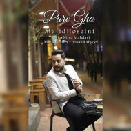 دانلود آهنگ مجید حسینی پر قو دانلود آهنگ مجید حسینی پر قو