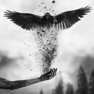 دانلود آهنگ سوگند حس کن دانلود آهنگ سوگند حس کن