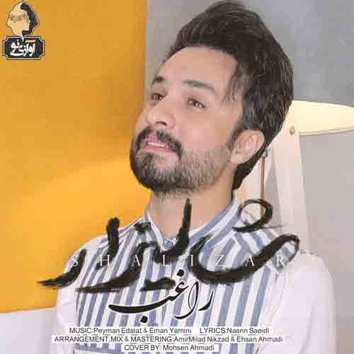 دانلود آهنگ شالیزار راغب دانلود آهنگ شالیزار راغب