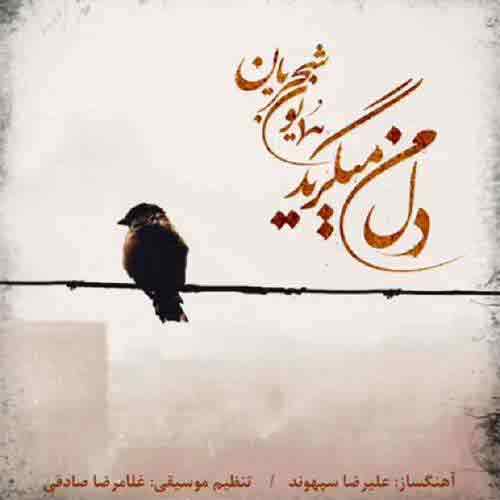دانلود آهنگ دل من میگرید همایون شجریان دانلود آهنگ دل من میگرید همایون شجریان