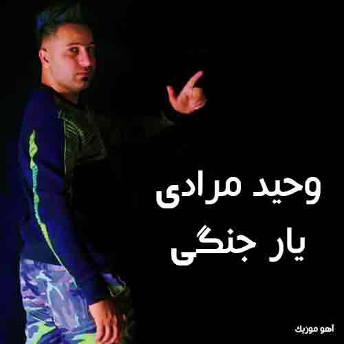 دانلود آهنگ یار جنگی من شلوار پلنگی من وحید مرادی دانلود آهنگ یار جنگی من شلوار پلنگی من وحید مرادی