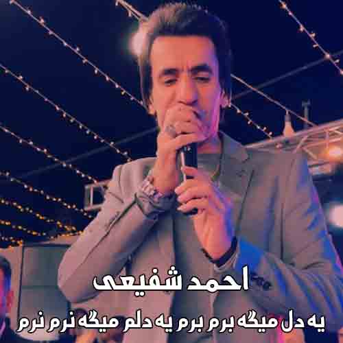 دانلود آهنگ یه دل میگه برم برم یه دلم میگه نرم نرم احمد شفیعی