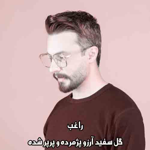 دانلود آهنگ گل سفید آرزو پژمرده و پرپر شده دانلود آهنگ گل سفید آرزو پژمرده و پرپر شده