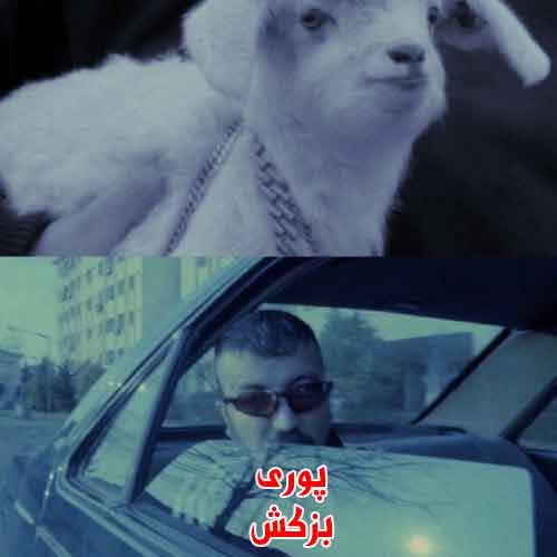 دانلود آهنگ بزکش پوری دانلود آهنگ بزکش پوری