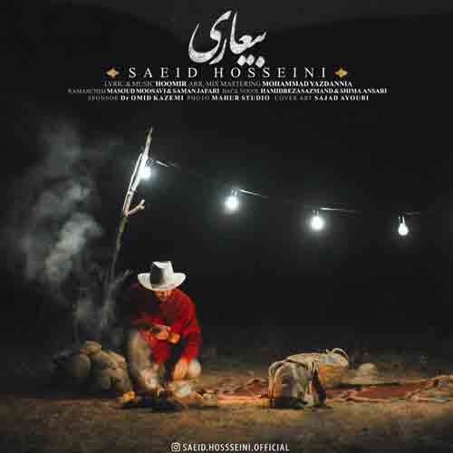 دانلود آهنگ بیعاری 1 سعید حسینی