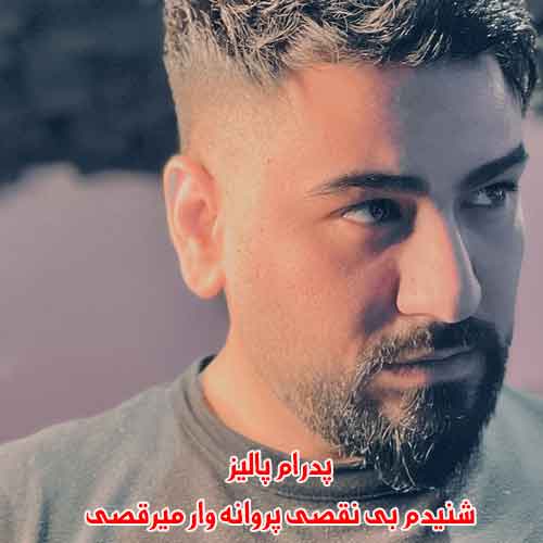 دانلود آهنگ شنیدم بی نقصی پروانه وار میرقصی ریمیکس پدرام پالیز دانلود آهنگ شنیدم بی نقصی پروانه وار میرقصی ریمیکس پدرام پالیز