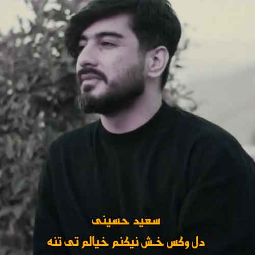 دانلود آهنگ دل وکس خش نیکنم سعید حسینی ریمیکس دانلود آهنگ دل وکس خش نیکنم سعید حسینی ریمیکس