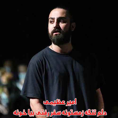 دانلود آهنگ دلم تنگه زمستونه سفر رفتی بیا خونه