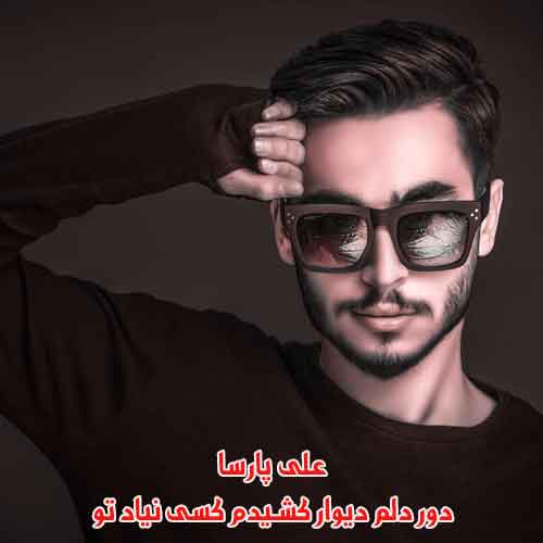 دانلود آهنگ دور دلم دیوار کشیدم کسی نیاد تو علی پارسا دانلود آهنگ دور دلم دیوار کشیدم کسی نیاد تو علی پارسا