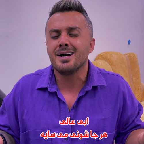 دانلود آهنگ هر جا شونی می سایه ابی عالی دانلود آهنگ هر جا شونی می سایه ابی عالی