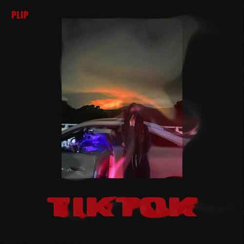 دانلود آهنگ تیک تاک پارسالیپ