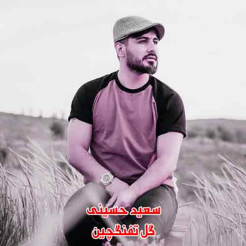 دانلود آهنگ گل تفنگچین سعید حسینی دانلود آهنگ گل تفنگچین سعید حسینی
