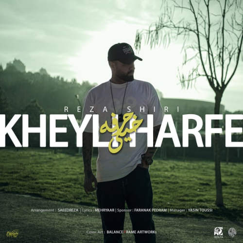 دانلود آهنگ خیلی حرفه رضا شیری دانلود آهنگ خیلی حرفه رضا شیری