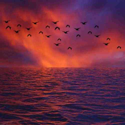 دانلود آهنگ حالا بگو کی دیگه اخماتو میگیره با تو میخنده دانلود آهنگ حالا بگو کی دیگه اخماتو میگیره با تو میخنده