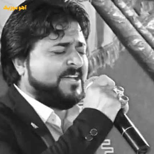 دانلود آهنگ فلک چو صیاد کرده نشونم