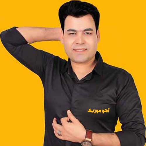 مجموعه کامل آهنگ‌ های بیدل برزویی (دانلود مستقیم)