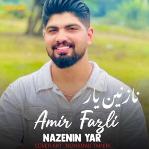 دانلود آهنگ امیر فضلی نازنین یار دانلود آهنگ امیر فضلی نازنین یار