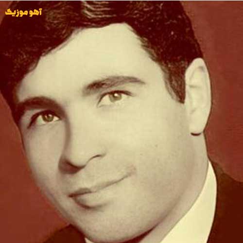 دانلود آهنگ دانم ای زیبا روزی بر مزارم بنشینی