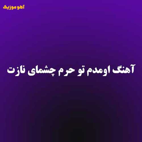 دانلود آهنگ اومدم تو حرم چشمای نازت نذرمو ادا کنم