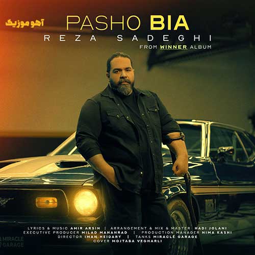 دانلود آهنگ رضا صادقی پاشو بیا