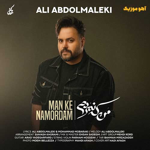 دانلود آهنگ علی عبدالمالکی همه تنهات بذارن من که نمردم