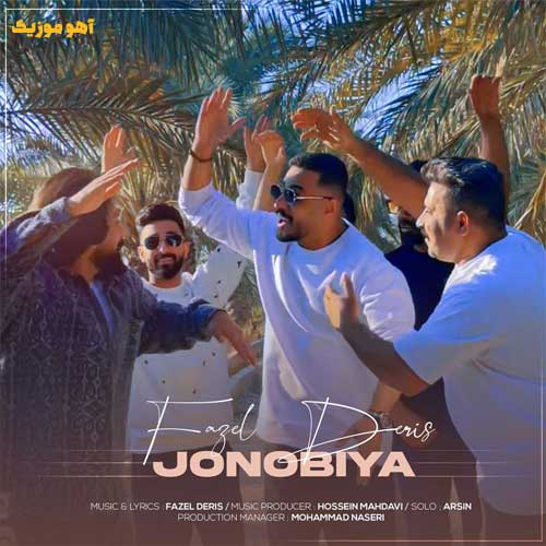 دانلود آهنگ فاضل دریس جنوبیا » متن کامل