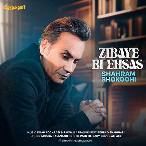 دانلود آهنگ شهرام شکوهی زیبای بی احساس »» کامل mp3 + متن