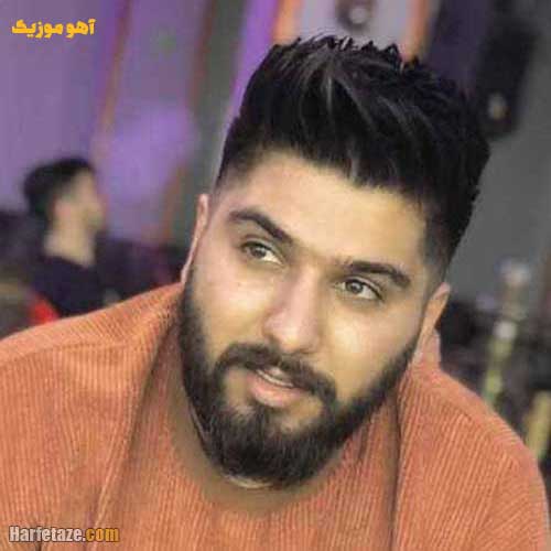 دانلود آهنگ تو می بال و پر تاج سر یار می سروری » کامل 320 + متن