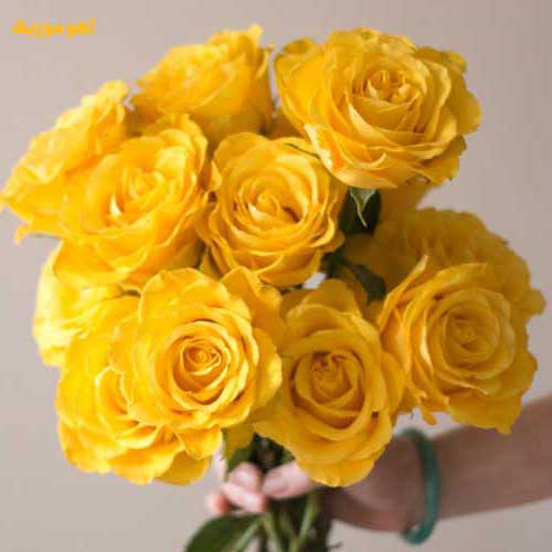 دانلود آهنگ شاد لیلا فروهر مخصوص رقص (با کیفیت MP3)