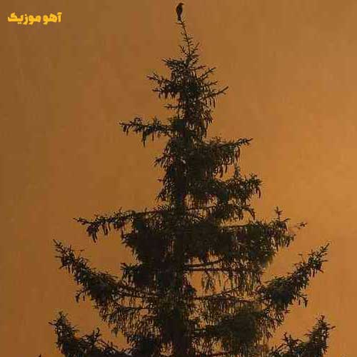 دانلود آهنگ من عشق تو بودم یه روزی هایده (ریمیکس ترکیبی هوش مصنوعی)