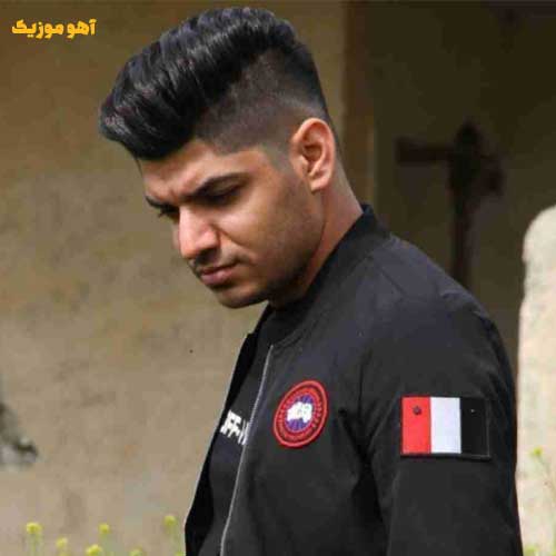 دانلود ریمیکس مجتبی ترکاشوند نالوطی من بدجور دلتنگتم remix (تند بیس دار)