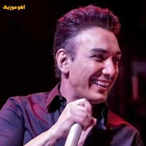 دانلود آهنگ دیدی نشد بهتر حالم با صدای شادمهر عقیلی (هوش مصنوعی)