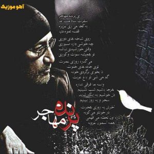 دانلود ریمیکس سیاوش قمیشی ای پرنده مهاجر دانلود ریمیکس سیاوش قمیشی ای پرنده مهاجر