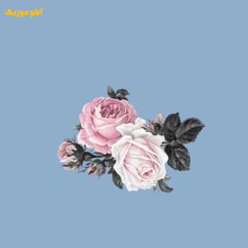 دانلود آهنگ من که هرچی تو دلم بود گفتم (با صدای زن - اصلی)