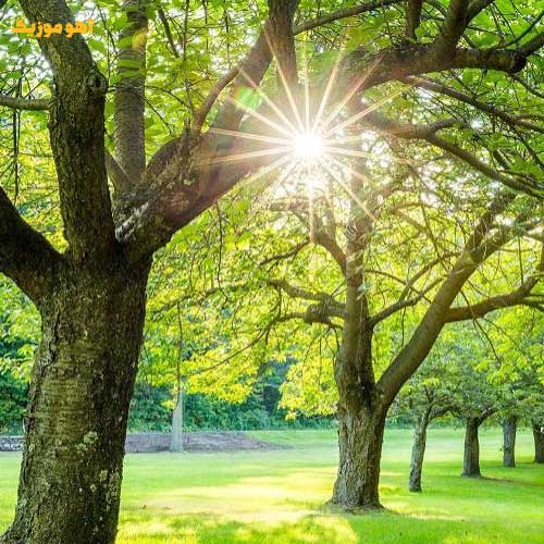 دانلود آهنگ تابستون کوتاهه »» با کیفیت عالی