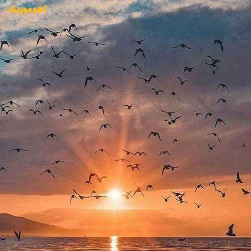 دانلود آهنگ بی گناهم بده پناهم کز موی تو آشفته ترم / اصلی