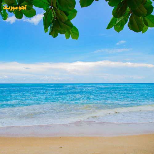 دانلود آهنگ با نبودنت با نبودنت  غم تو صدای بارونه