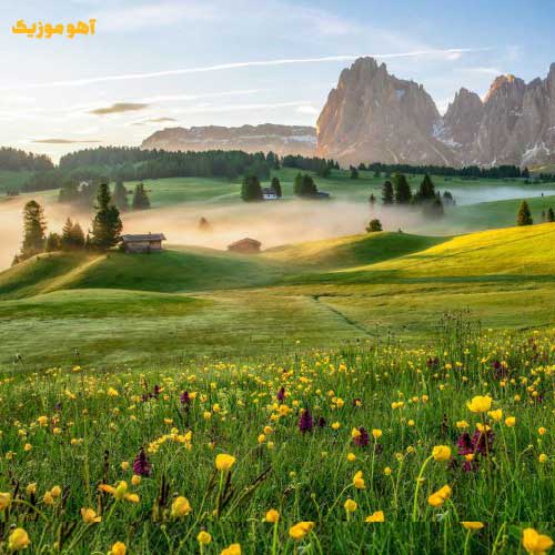 دانلود آهنگ دست من نیست دلم هی بهونه میکنه »» هوش مصنوعی