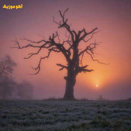 دانلود آهنگ غریبی موند و تنهایی از این غربت دلم تنگه »» با کیفیت عالی