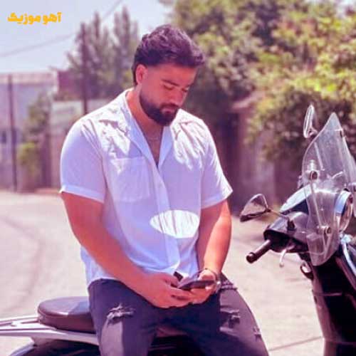 دانلود آهنگ سعید بابازاده سنگ فرشای این شهرو به عشقه تو گل کردم