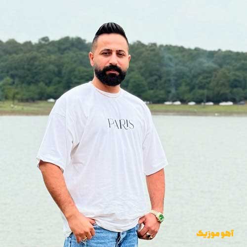 دانلود آهنگ وحید مرادی زیبای وحشی